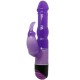 BAILE WAVES OF PLEASURE FANTASY VIBRADOR CON RABBIT LILA 23 CM