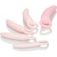 CALEXOTICS INSPIRE KIT DILATADOR VAGINAL SILICONA 5 PCS