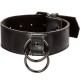 CALEXOTICS EUPHORIA COLLAR CON CORREA DE CADENA