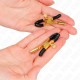 KINK PINZAS PARA PEZONES DORADO 6 CM
