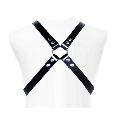 LEATHER BODY BASIC HARNESS