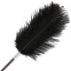 DARKNESS FUSTA CON PLUMA LOVE NEGRO 56 CM