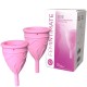 FEMINTIMATE EVE COPA MENSTRUAL SILICONA TALLA S