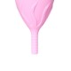 FEMINTIMATE EVE COPA MENSTRUAL SILICONA TALLA L