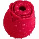 ARMONY DELIGHT FLOWER SUCCIONADOR ROJO