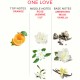 EYE OF LOVE EOL PERFUME FEROMONAS 10 ML ONE LOVE
