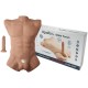 SILEXD APOLLO L TORSO REALaSTICO MASCULINO CARAMELO