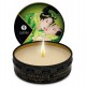 SHUNGA MINI CARESS BY CANDLELIGHT DISPLAY VELAS MASAJE 24 UDS