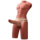 XISE JASON HALF BODY TORSO REALaSTICO MASCULINO CON THRUSTING Y VIBRACIaN 55 CM