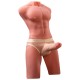 XISE JASON HALF BODY TORSO REALaSTICO MASCULINO CON THRUSTING Y VIBRACIaN 55 CM