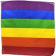 PRIDE PAaUELO LGBT 50 X 50